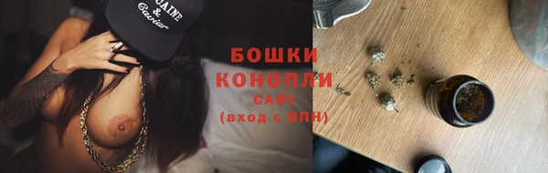 СК Волоколамск