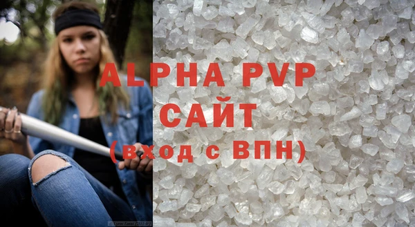 СК Волоколамск