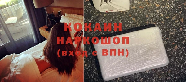 СК Волоколамск