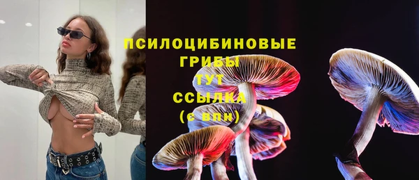 тгк Волосово